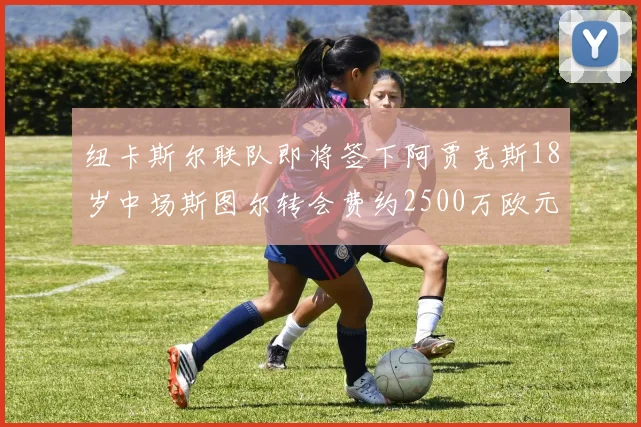 纽卡斯尔联队即将签下阿贾克斯18岁中场斯图尔转会费约2500万欧元