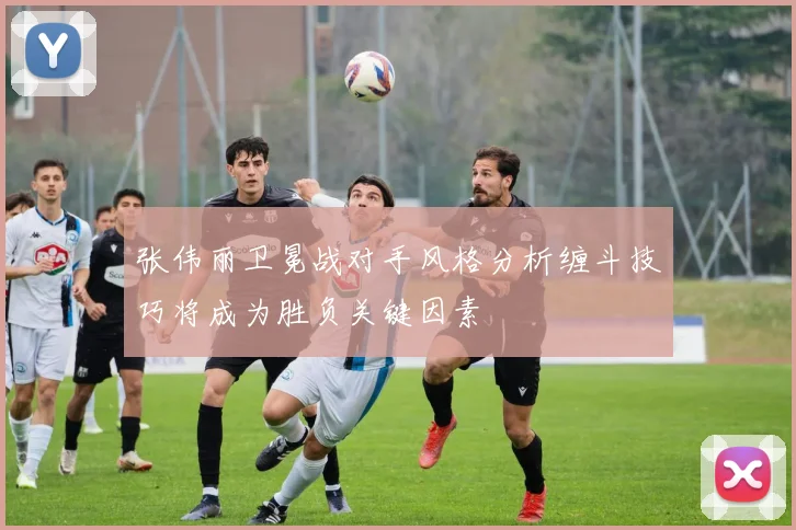 张伟丽卫冕战对手风格分析缠斗技巧将成为胜负关键因素