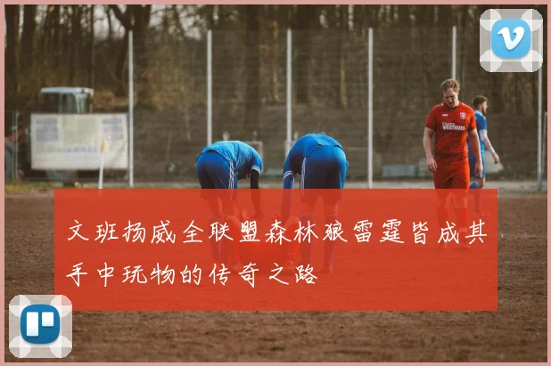 文班扬威全联盟森林狼雷霆皆成其手中玩物的传奇之路